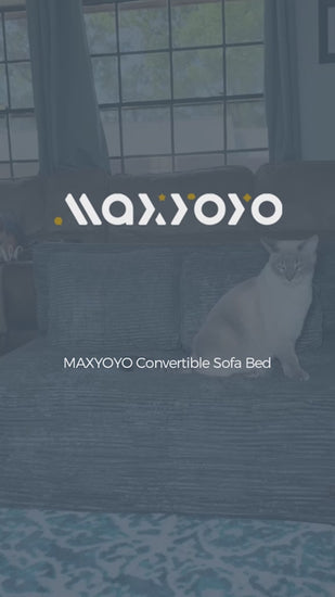 MAXYOYO Convertible Sofa Bed, Fold Out Sofa Couch with Pillow for Adults