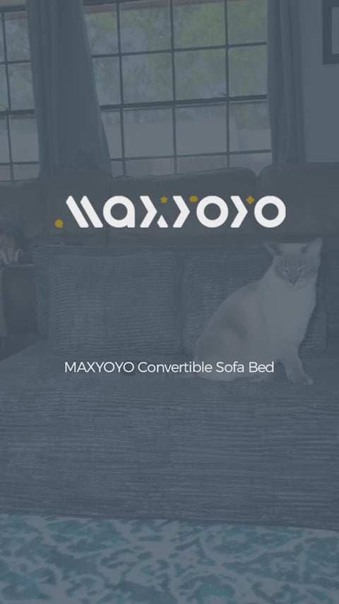 MAXYOYO Convertible Sofa Bed, Fold Out Sofa Couch with Pillow for Adults